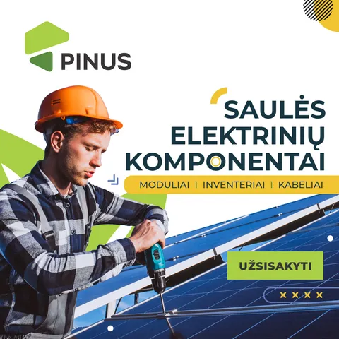 Pinus reklama